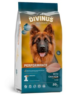 Divinus Performance dla owczarka niemieckiego 20kg